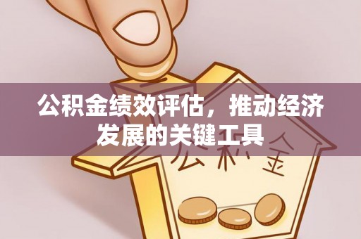 牟平公积金绩效评估，推动经济发展的关键工具