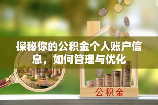牟平探秘你的公积金个人账户信息，如何管理与优化