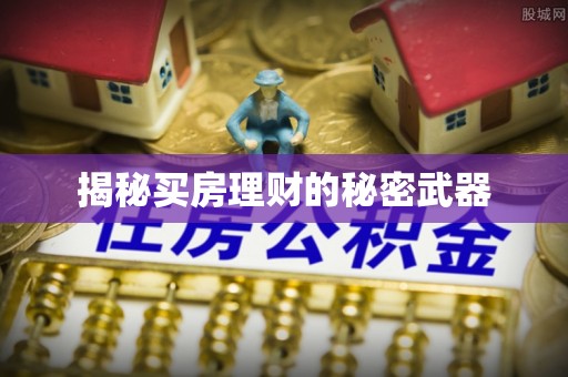 牟平揭秘买房理财的秘密武器