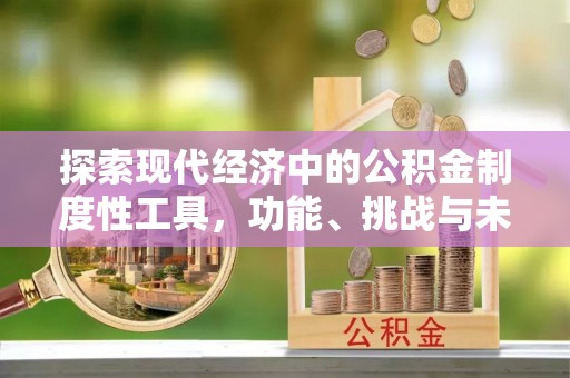 牟平探索现代经济中的公积金制度性工具，功能、挑战与未来