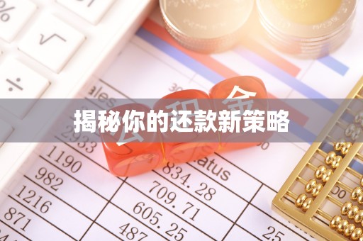 牟平揭秘你的还款新策略