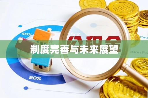 牟平制度完善与未来展望