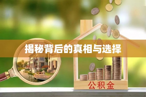 牟平揭秘背后的真相与选择
