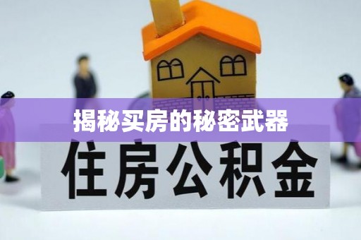 牟平揭秘买房的秘密武器