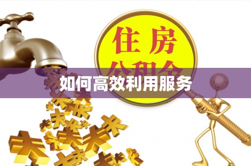 牟平如何高效利用服务