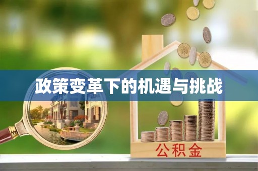 牟平政策变革下的机遇与挑战