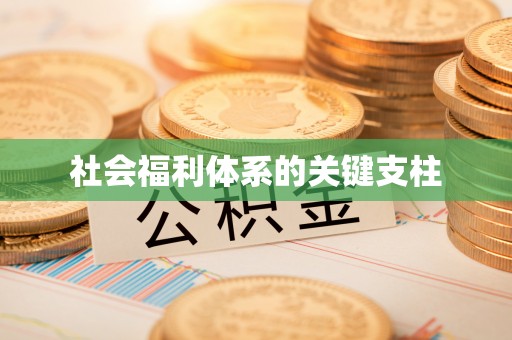 牟平社会福利体系的关键支柱