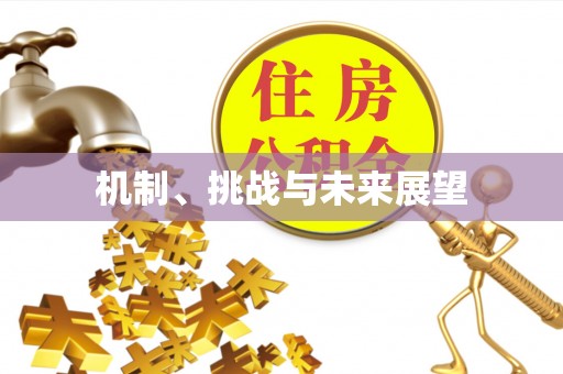 牟平机制、挑战与未来展望